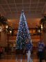 DSCF0143.JPG